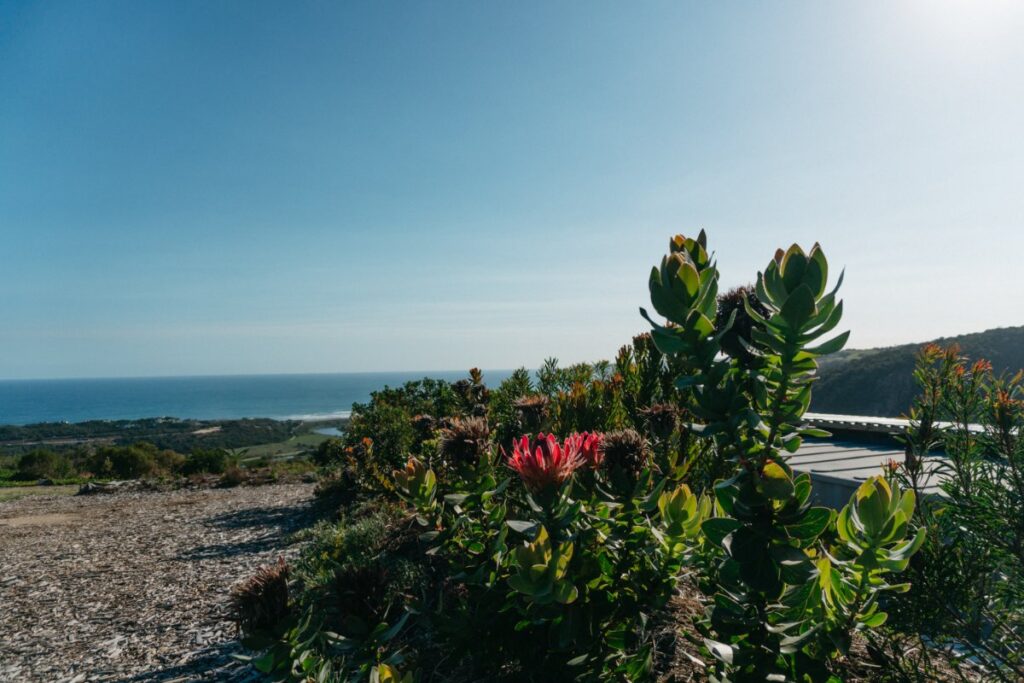 Eco-living and nature immersion in Hoekwil with lush garden and coastal landscape views at Mountain Magic